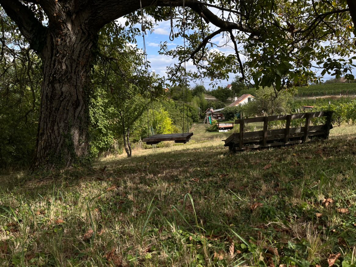 Természet közelsége