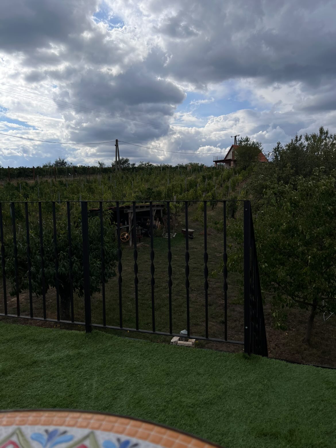 Szekszárdi borvidék